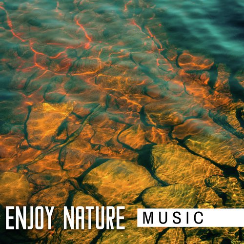 Sleep Sounds of Nature cover art