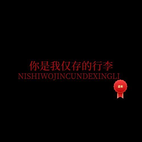 你是我仅存的行李 cover art