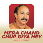 Meri Kar Manzoor Apeal artwork