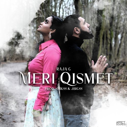 Meri Qismet_poster_image