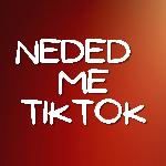 Needed Me TikTok (Remix)