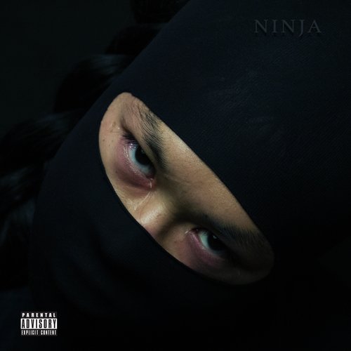 Ninja cover art
