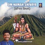 Om Nama Shivaya