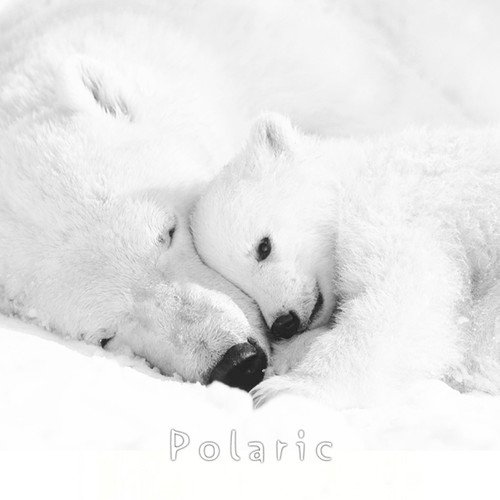 Cosmic Polar