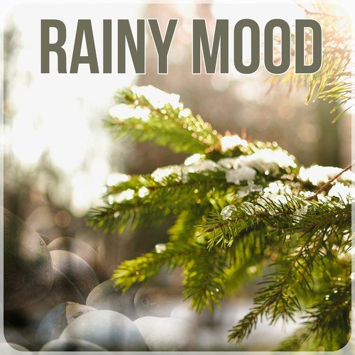 Rainy Mood cover art