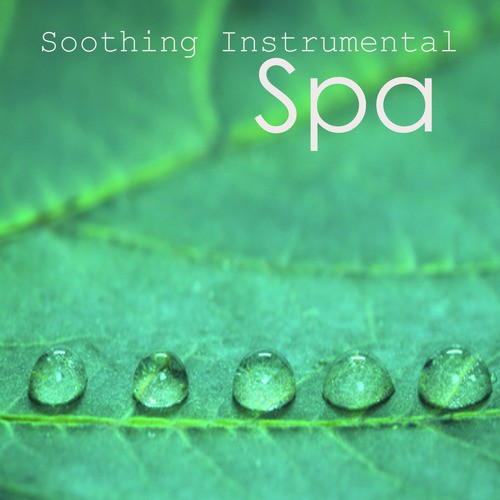 Soothing Instrumental Songs: Spa Music on Piano_poster_image