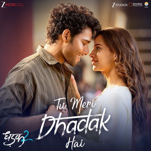Tu Meri Dhadak Hai (From "Dhadak 2")