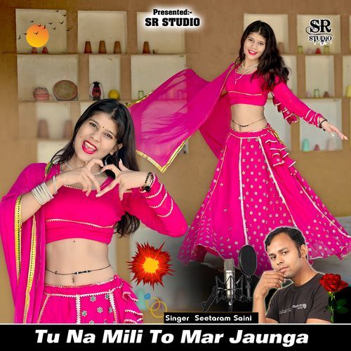 Tu Na Mili To Mar Jaunga