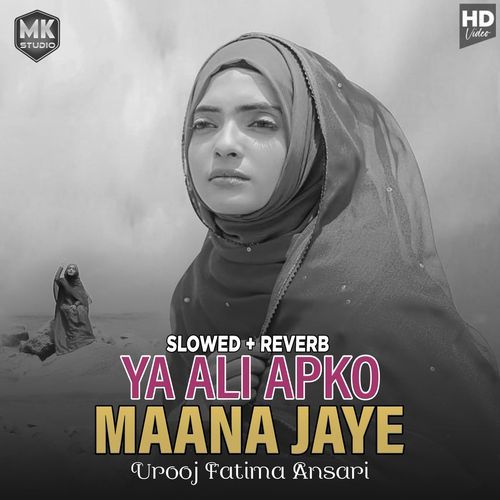 Ya Ali Apko Maana Jaye (Lofi-Mix)