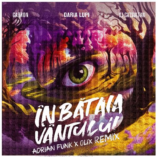 În bătaia vântului (Adrian Funk & OLiX Remix)_poster_image