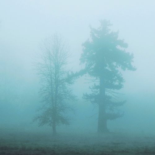 whisper cover art