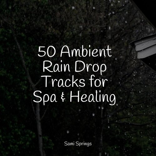 50 Ambient Rain Drop Tracks for Spa & Healing