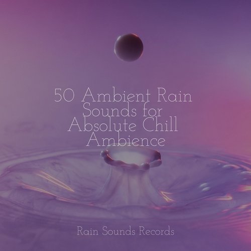 50 Ambient Rain Sounds for Absolute Chill Ambience_poster_image