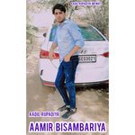 Aamir  Bisambariya (Hindi)