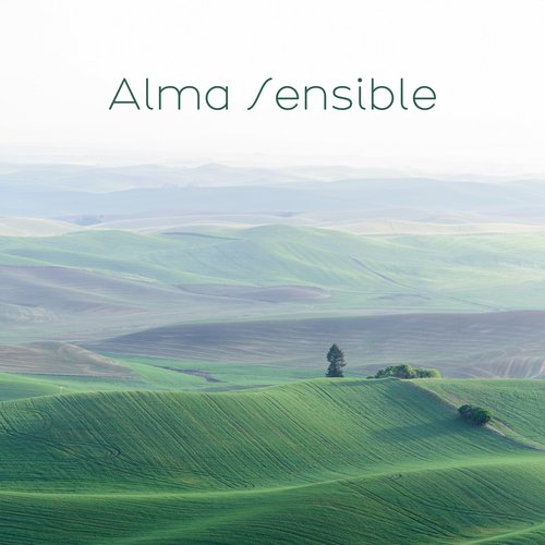 Alma Sensible_poster_image