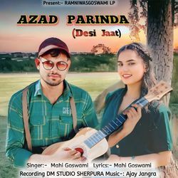 Azad parinda(desi Jaat)-SBsMVBZmdl0