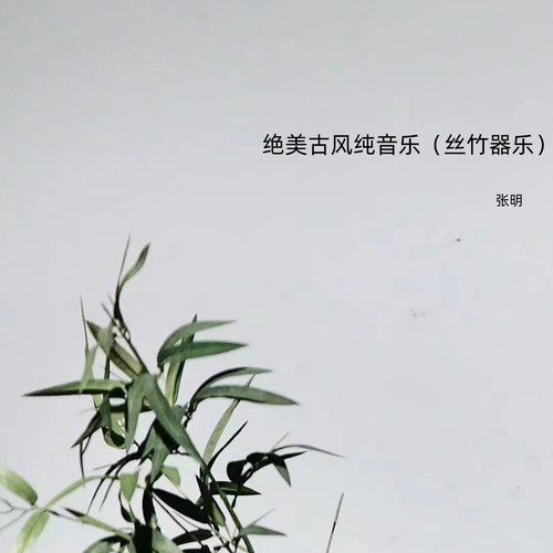 绝美古风纯音乐（丝竹器乐）
