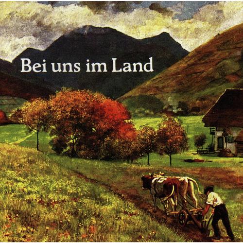 Chiemgauer Polka cover art