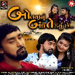 Bolvanu Bandh Te Karyu Chhe