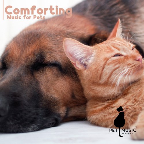 Beloved Companion cover art