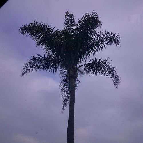 Dakota is Dead cover art