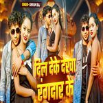 Dil Deke Dekha Rangdar Ke