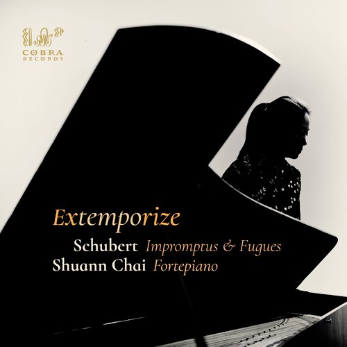 Four Impromptus, D 935, Op. 142, No. 3 in B-flat major: Theme (Andante) with variations cover art