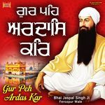 So Satgur Pyara Mere Naal Hai