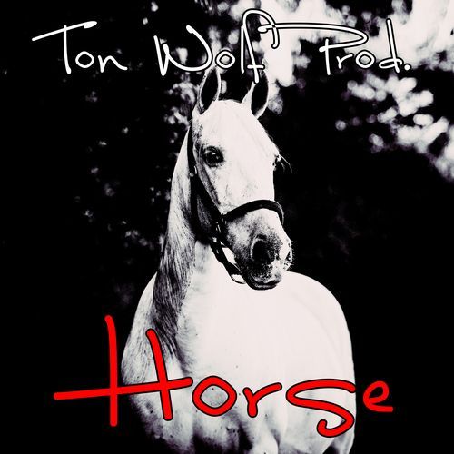 Horse cover art