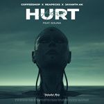 Hurt (feat. Solina)