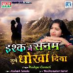 Ishq Mein Sanam Tune Dhokha Diya