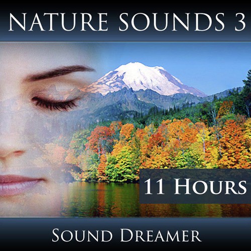 River and Bird Sounds - 1 Hour