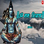 Om namah shivay