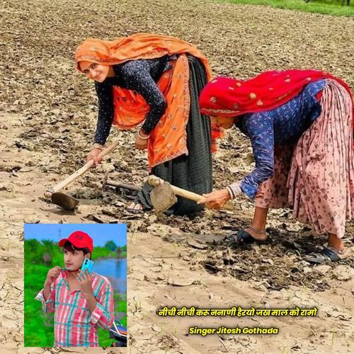 नीची नीची करू ननाणी हैरयो जख माल को रामो