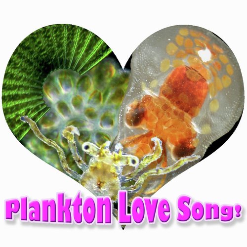Plankton Love Song (Go with the Flow)