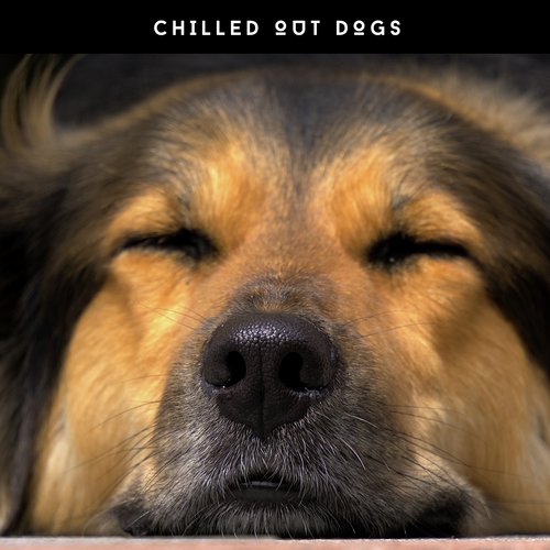 Calming Dog Sounds cover art