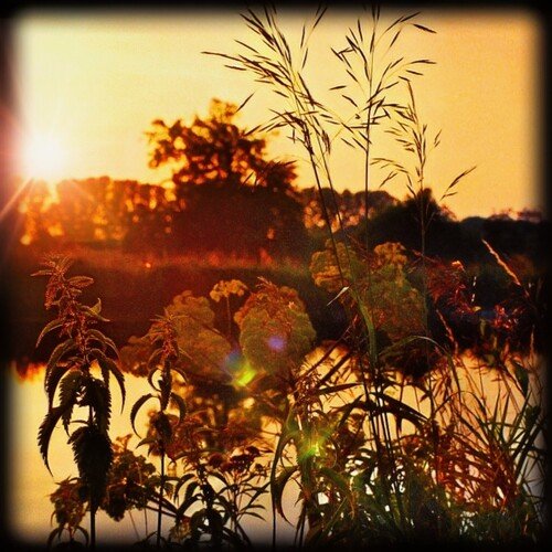 Romanzen in Moskau (Remastered) cover art