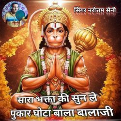 Sara bhakton ki Sun Le Pukar ghota wala Balaji