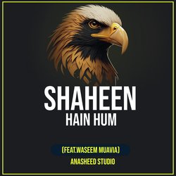 Shaheen Hain Hum-QyQnfRpZRnY