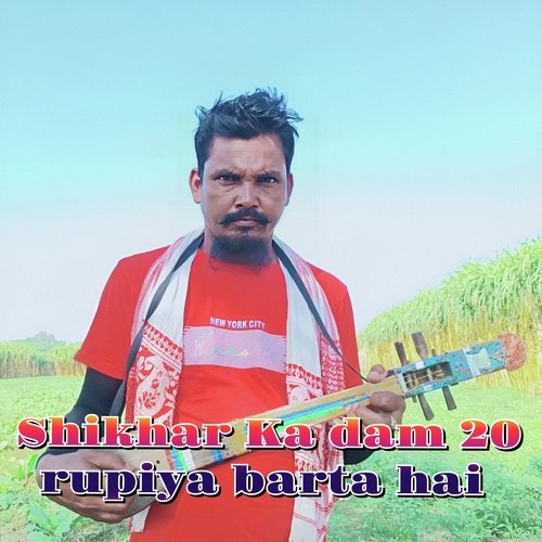 Shikhar ka dam 20 rupiya barta hai (Shahadot Ali Song)