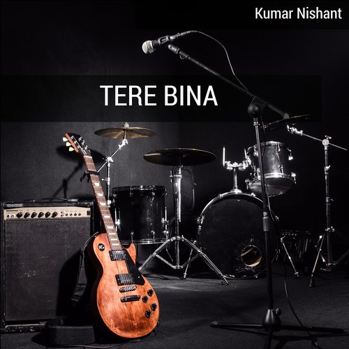 Tere Bina_poster_image