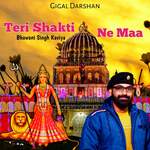 Teri Shakti Ne Maa artwork