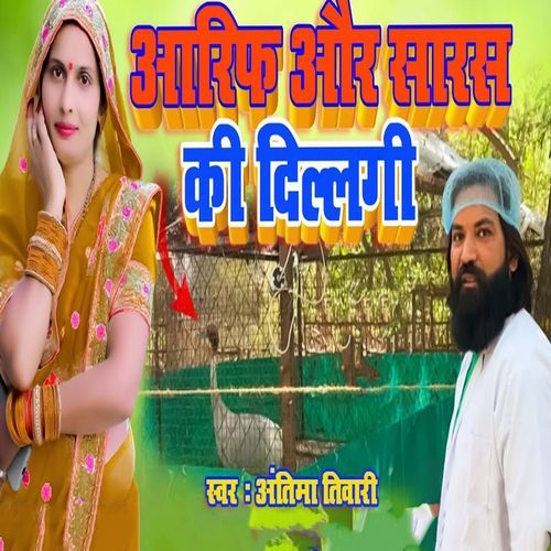 Aarif Aur Saras Ki Dillagi