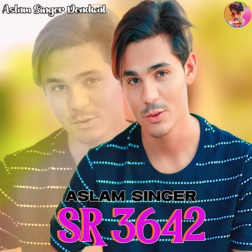 Aslam Singer SR 3642