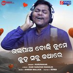 Bhala Pao Boli Tume Kuha Sabu Katha Re