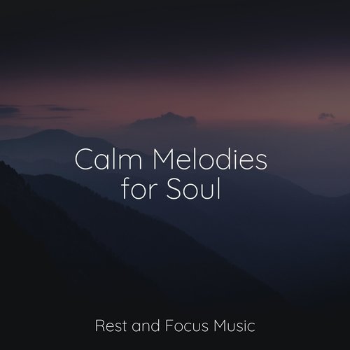 Calm Melodies for Soul_poster_image