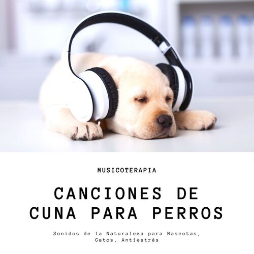 Relajar Gatos cover art