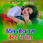 Dil Toda Us Bedardi Ne Mera