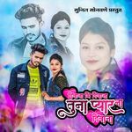 Diwana Mi Diwana Tuna Pyarna Diwana artwork