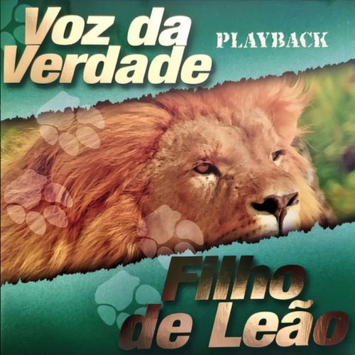 Profetiza (Playback) cover art